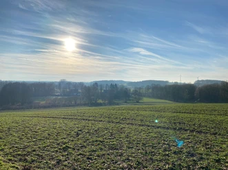 Zonovergoten weidelandschap met heuvels en verspreide windturbines op de achtergrond.