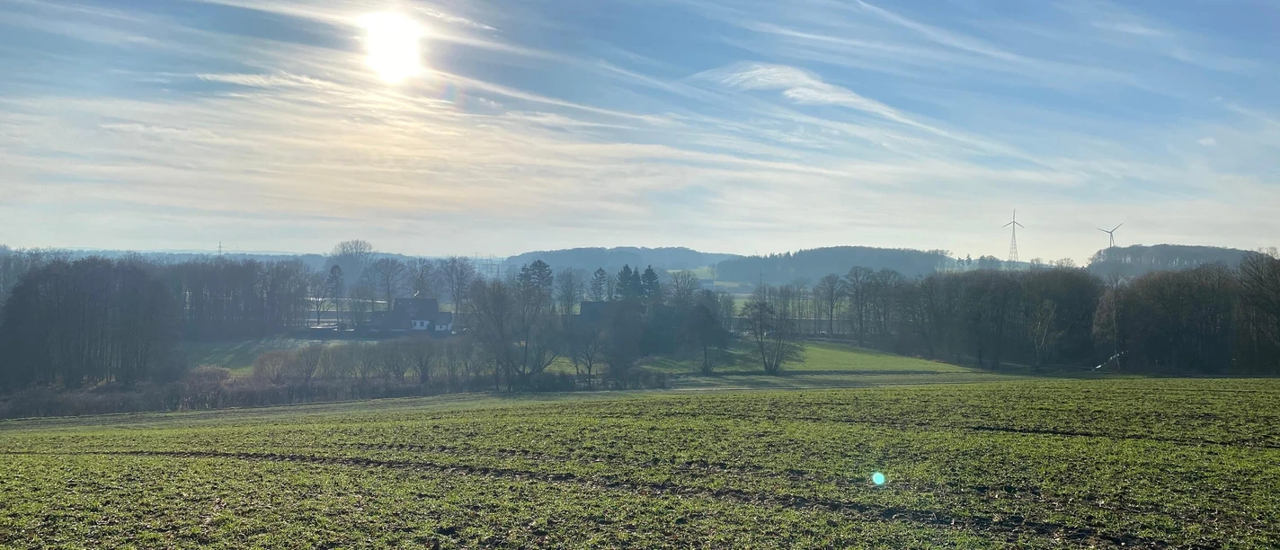 Unterwegs auf dem TERRA.track Hollager Berg Sunlit pasture landscape with hills and scattered wind turbines in the background.