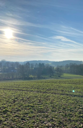 Unterwegs auf dem TERRA.track Hollager Berg Sonnenbeschienene Weidelandschaft mit Hügeln und vereinzelten Windkraftanlagen im Hintergrund.Sunlit pasture landscape with hills and scattered wind turbines in the background.Solbeskinnet græslandskab med bakker og spredte vindmøller i baggrunden.Zonovergoten weidelandschap met heuvels en verspreide windturbines op de achtergrond.