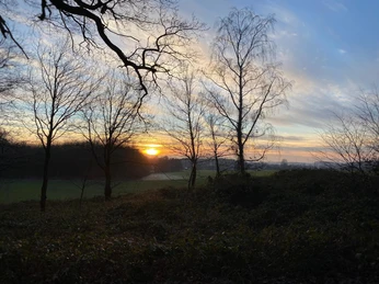 Frostiger Winter am Hollager Berg Sonnenuntergang hinter Bäumen in einer ländlichen Landschaft.Sunset behind trees in a rural landscape.Solnedgang bag træer i et landligt landskab.Zonsondergang achter bomen in een landelijk landschap.