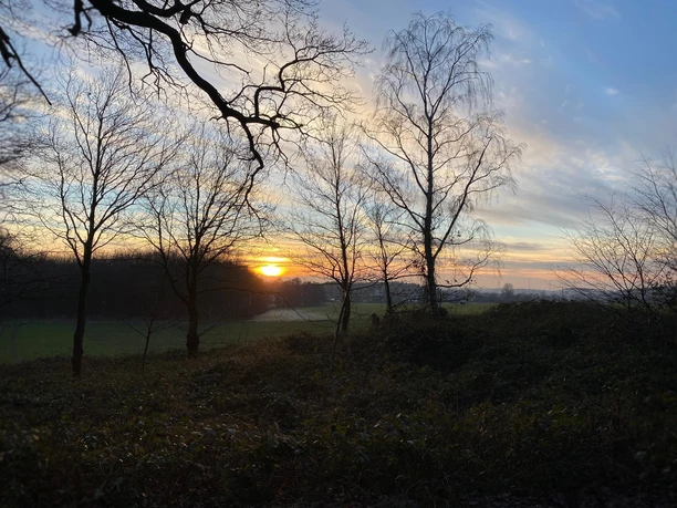 Frostiger Winter am Hollager Berg Sunset behind trees in a rural landscape.