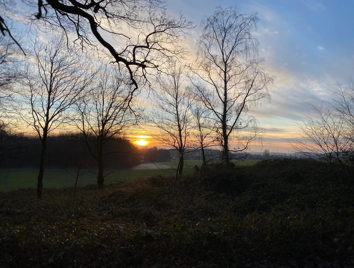 Frostiger Winter am Hollager Berg Sonnenuntergang hinter Bäumen in einer ländlichen Landschaft.Sunset behind trees in a rural landscape.Solnedgang bag træer i et landligt landskab.Zonsondergang achter bomen in een landelijk landschap.