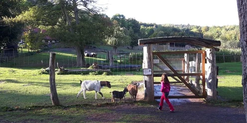 Wildpark Hardegsen Wildpark Hardegsen