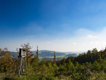 Hochsitz mit Ausblick bei Willingen