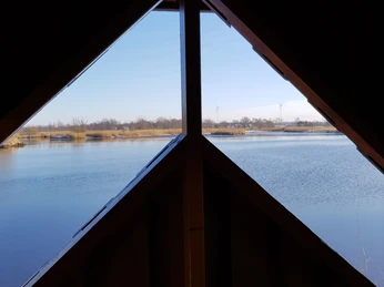 Blick aus dem Naturbeobachtungsturm an der Oste-Pütte