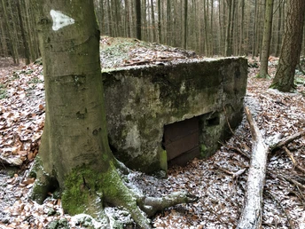 Ein teilweise mit Moos bewachsener, verlassener Bunker liegt in einem herbstlichen Waldgebiet.