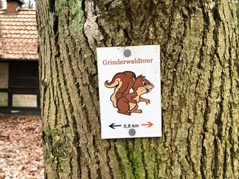 A signpost with a squirrel symbol shows the distance of 5.8 km to the Grinderwald tour with arrows.