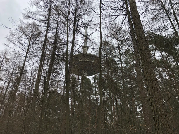 Een futuristisch ontworpen toren steekt boven de omringende bomen uit in een bosrijk gebied.