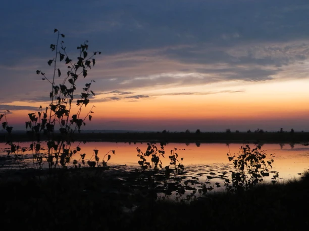 Abendstimmung im Moor
