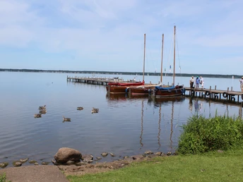 Segelboote an einem Holzsteg spiegeln sich im ruhigen, weiten Wasser des Steinhuder Meeres.