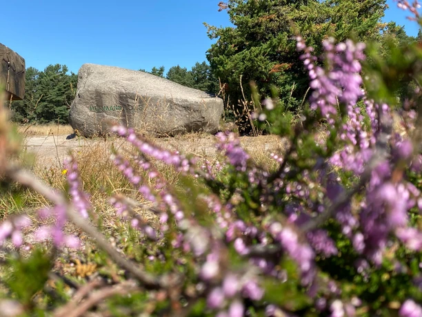 Lönsstein in de Klein Bünstorfer Heide bij Bad Bevensen