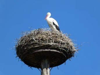 Wandertour "In't Dörp" (In's Dorf)