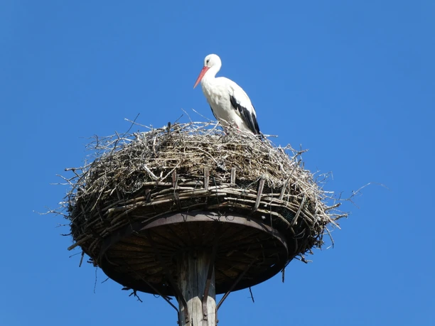 Wandertour "In't Dörp" (In's Dorf)