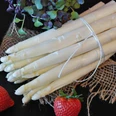 asparagus-2189055_1920.jpg