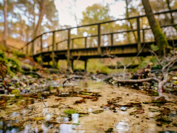 Emsquelle SHS Emsquelle SHS