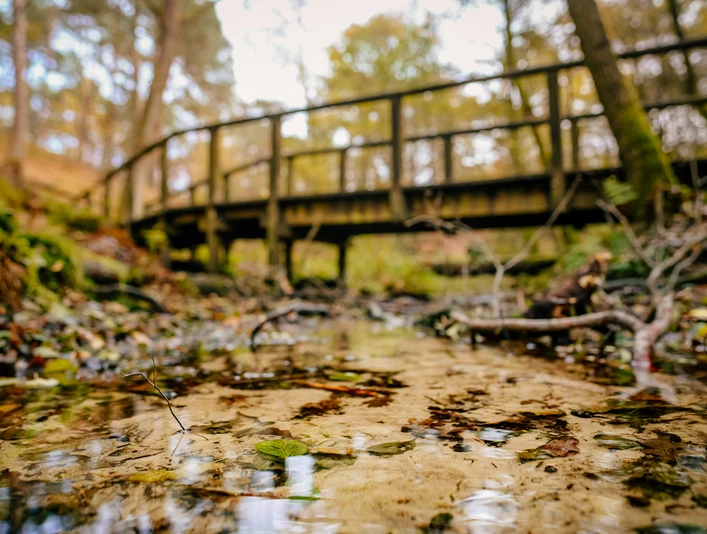 Emsquelle SHS Emsquelle SHS