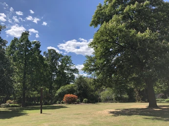 Kurpark Bruchhausen-Vilsen Parklandschaft mit grünen Bäumen und strahlend blauem Himmel im Kurpark Bruchhausen-Vilsen.Park landscape with green trees and a bright blue sky in the Bruchhausen-Vilsen spa gardens.Parklandskab med grønne træer og en lyseblå himmel i Bruchhausen-Vilsens kurpark.Parklandschap met groene bomen en een helderblauwe lucht in het kuurpark Bruchhausen-Vilsen.