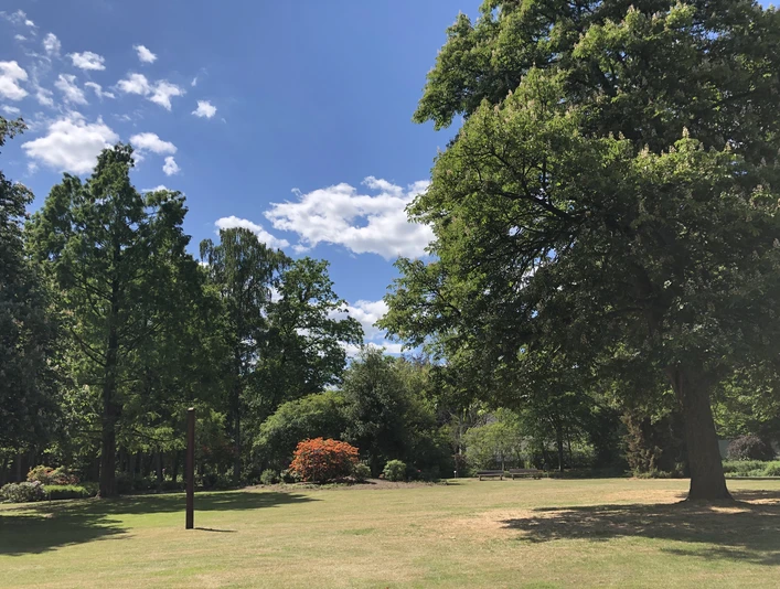 Kurpark Bruchhausen-Vilsen Parklandschaft mit grünen Bäumen und strahlend blauem Himmel im Kurpark Bruchhausen-Vilsen.Park landscape with green trees and a bright blue sky in the Bruchhausen-Vilsen spa gardens.Parklandskab med grønne træer og en lyseblå himmel i Bruchhausen-Vilsens kurpark.Parklandschap met groene bomen en een helderblauwe lucht in het kuurpark Bruchhausen-Vilsen.