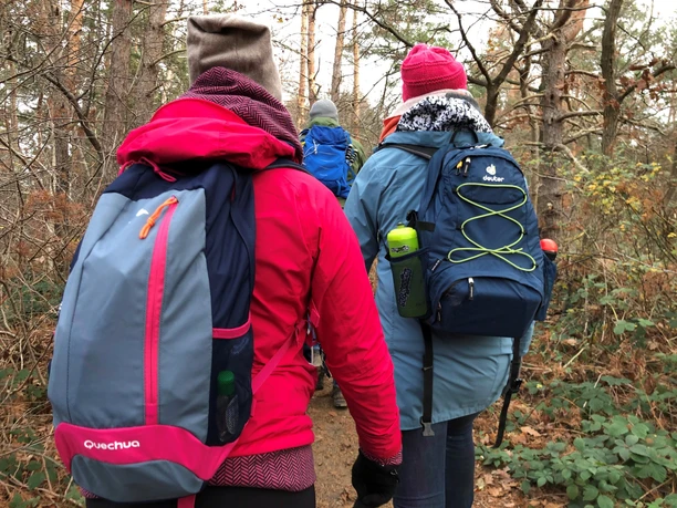 Wandern Mehrere Wanderer in bunter Outdoorkleidung auf einem Pfad im herbstlichen, bewaldeten Gelände.
