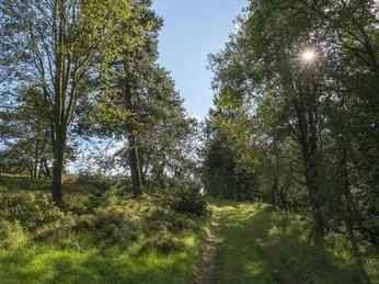 Graswanderweg in Willingen