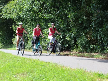 Drei Radfahrerinnen fahren auf einem asphaltierten Weg, flankiert von üppigen grünen Bäumen.Three cyclists ride along a paved path flanked by lush green trees.Tre cyklister kører ad en asfalteret sti flankeret af frodige, grønne træer.Drie fietsers rijden over een geasfalteerd pad geflankeerd door weelderig groene bomen.