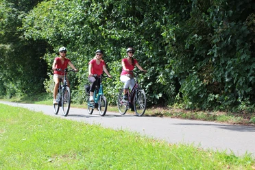 Radfahrer Mittelweser Drei Radfahrerinnen fahren auf einem asphaltierten Weg, flankiert von üppigen grünen Bäumen.