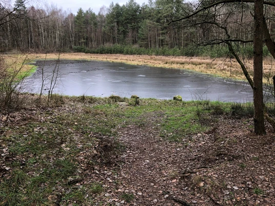 Blinder See Ein kleiner, von Bäumen umgebener See mit einem gefrorenen Wasserbett und einem schmalen Pfad.