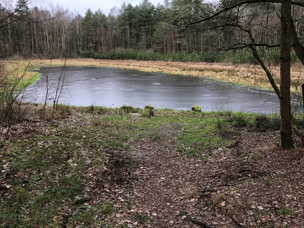 Blinder See Ein kleiner, von Bäumen umgebener See mit einem gefrorenen Wasserbett und einem schmalen Pfad.