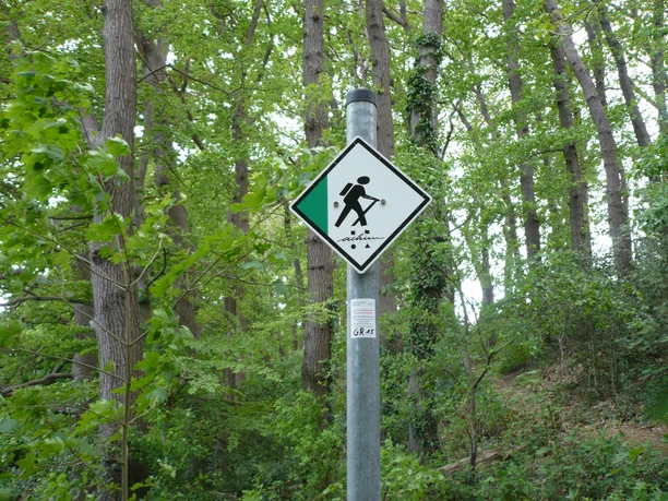 A hiking signpost in the forest indicates a Nordic walking route, surrounded by dense foliage.