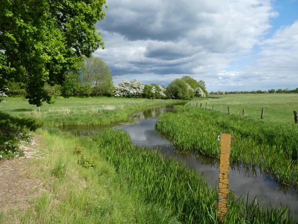 Wandertour "Vör de Döör" (Vor der Tür) Grüner, ruhiger Bach mit umliegenden Weiden und Buschwerk unter wolkigem Himmel in Norddeutschland.