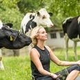 Yoga auf der Wiese  Frauen beim Yoga auf einer Wiese, umgeben von neugierigen Kühen.