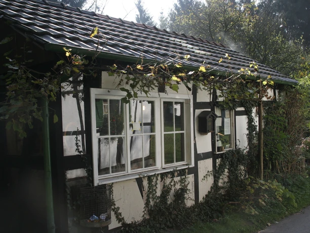 Mühlenmuseum Traditionelles Fachwerkhaus mit Efeubewuchs und sonnendurchfluteten Fenstern in ländlicher Umgebung.