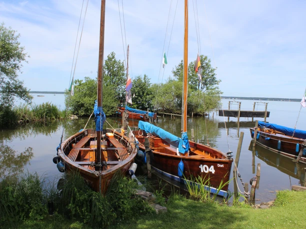 Steinhuder Meer Eine ruhige Szene am Steinhuder Meer mit festgemachten Segelbooten und üppigem Grün im Vordergrund.