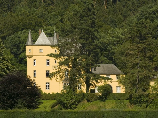 Schloss_Strauweiler_David_Bosbach.jpg Gelbes Schloss mit zwei Türmen umgeben von üppigem Grün und Bäumen vor bewaldetem Hintergrund.