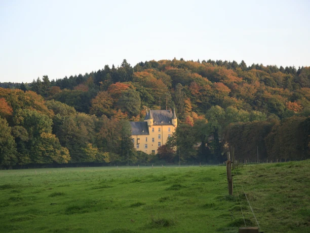 Westansicht von Schloss Stauweiler Schloss in herbstlicher Landschaft, eingebettet in bewaldete Hügel, gelegen auf einer grünen Wiese.