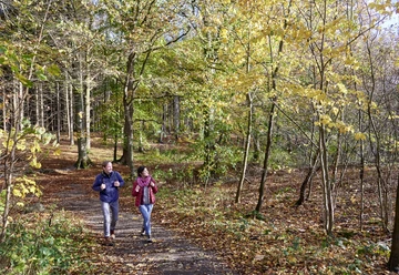 Schlei-Eider-Elbe-Weg Zwei Personen auf herbstlichem Waldweg unterwegs