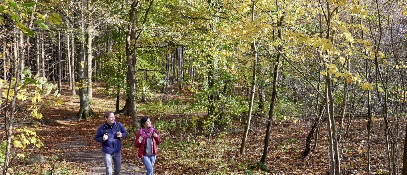 Schlei-Eider-Elbe-Weg