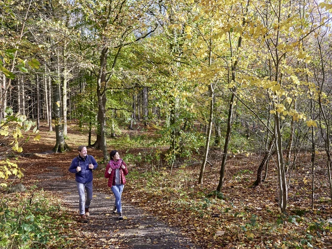 Schlei-Eider-Elbe-Weg