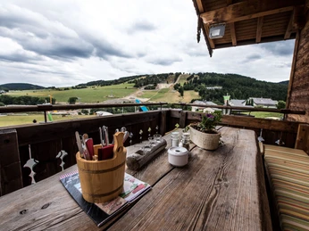 vis-à-vis-hütte-willingen-balkon.jpg