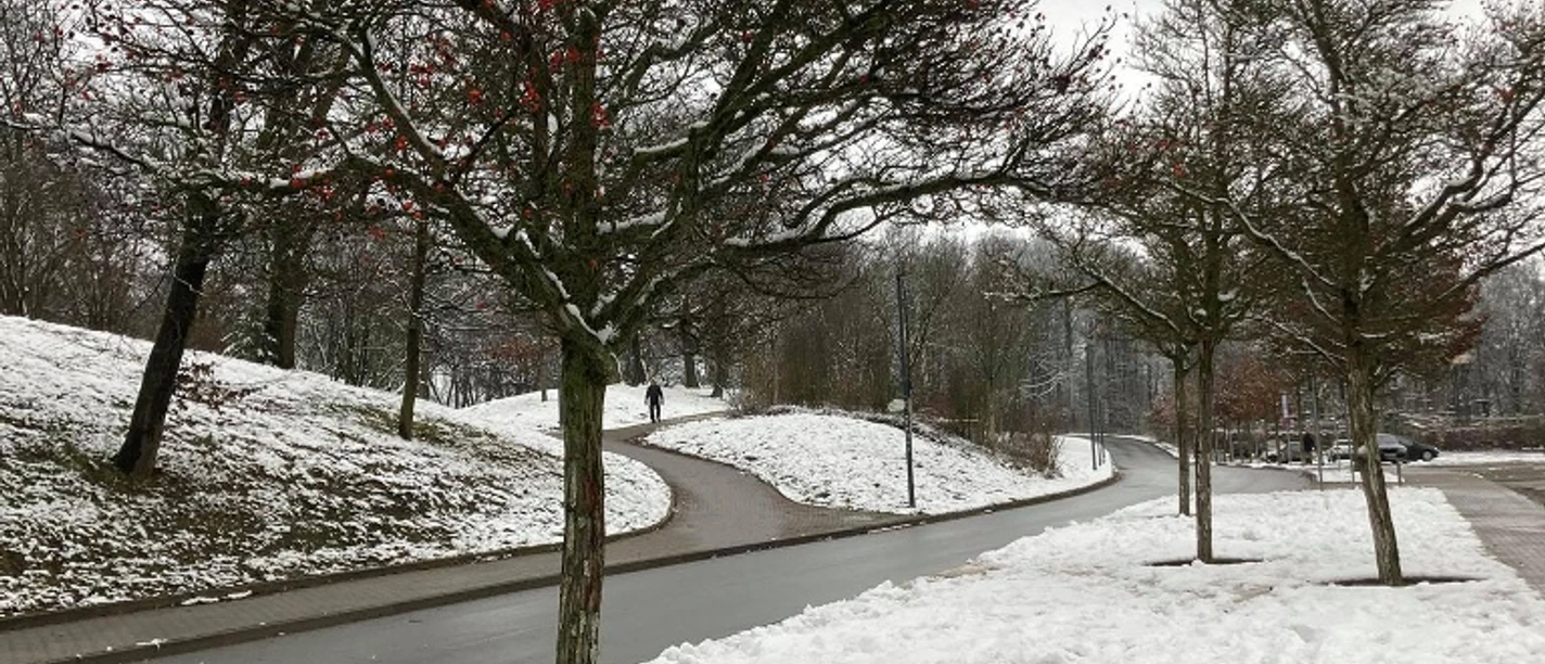 Denkmal "Unter Zwang"