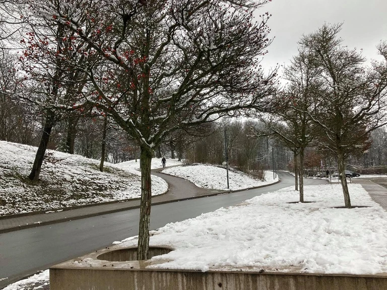 Denkmal "Unter Zwang"