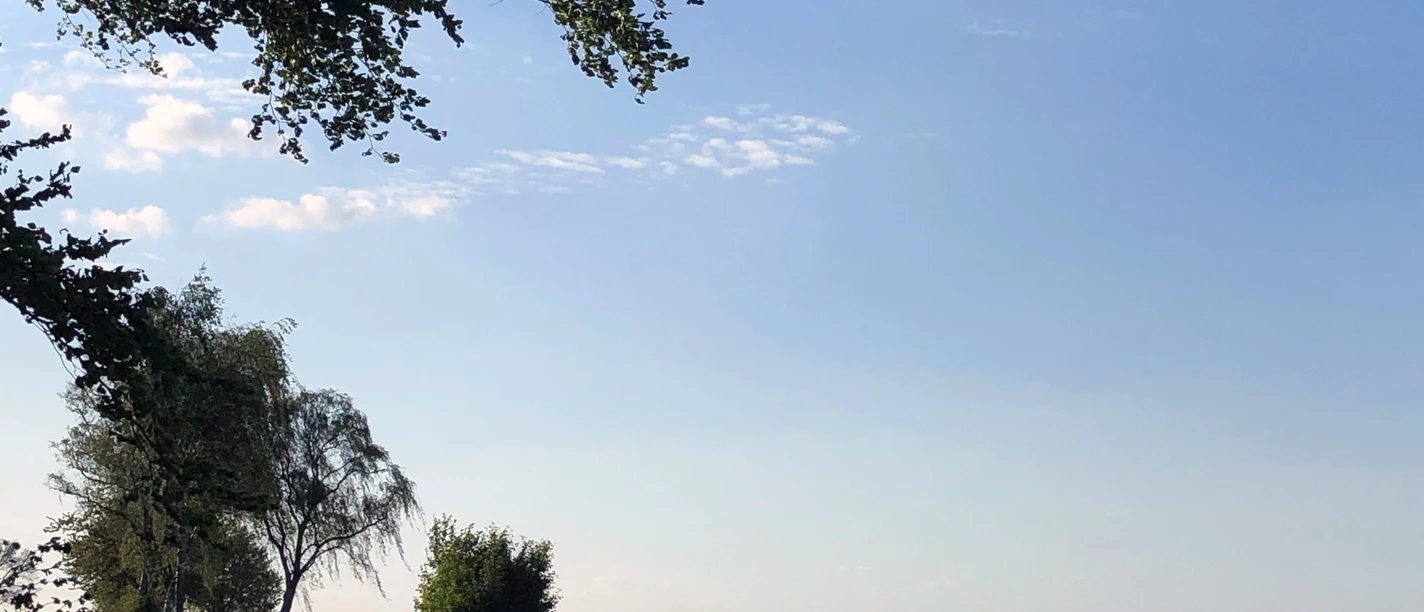 Feld in Medingen Feld in Medingen