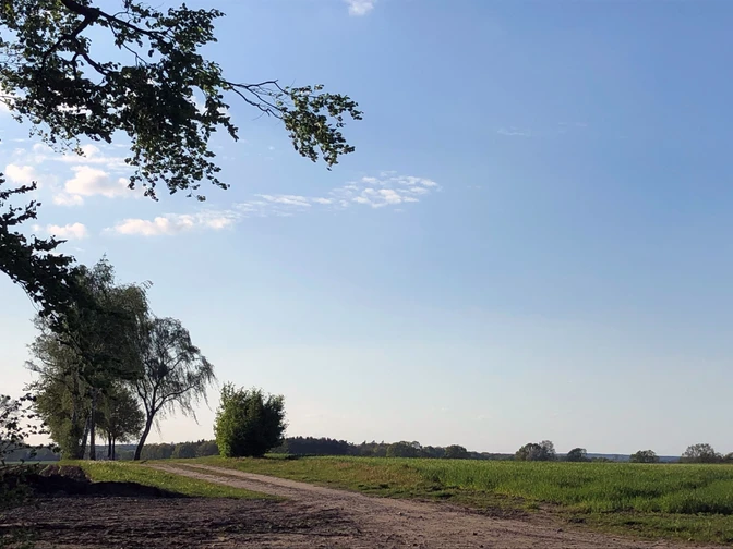 Feld in Medingen Feld in Medingen