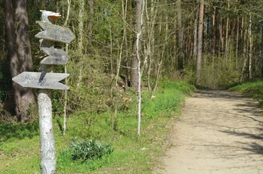 Rollstuhl-Wanderweg Bad Bevnesen
