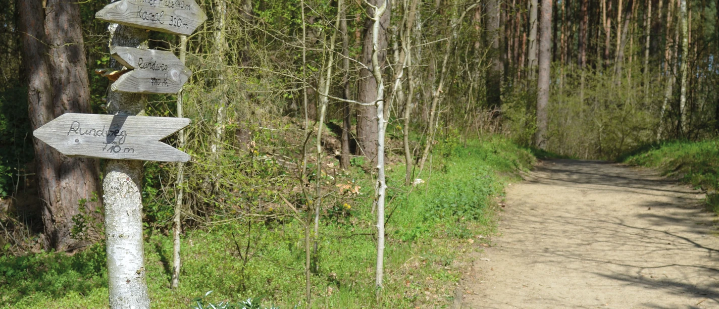 Rollstuhl-Wanderweg Bad Bevnesen