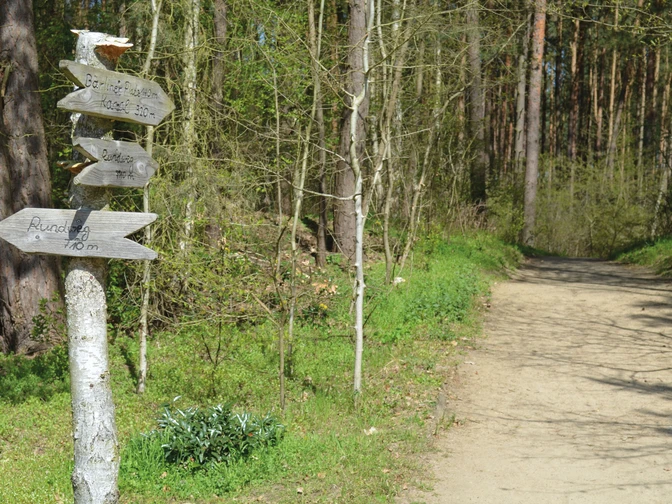 Rollstuhl-Wanderweg Bad Bevnesen