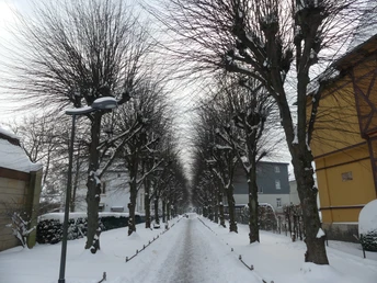 Bürgermeisterwall in Einbeck im Schnee Bürgermeisterwall in Einbeck im SchneeMayor's Wall in Einbeck in the snowBorgmestermuren i Einbeck i snevejrBurgemeestersmuur in Einbeck in de sneeuw