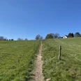 schmaler Pfad über Wiesen und Felder Ländlicher Feldweg in Lindlar, gesäumt von grünen Wiesen unter klarem blauen Himmel.