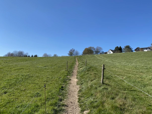 schmaler Pfad über Wiesen und Felder Ländlicher Feldweg in Lindlar, gesäumt von grünen Wiesen unter klarem blauen Himmel.