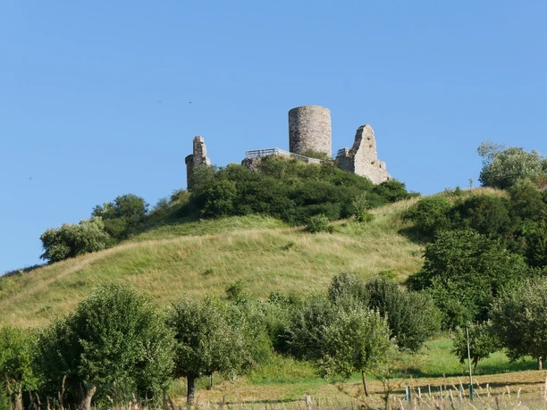 Burgruine Desenberg thront auf einem Hügel, umgeben von grünen Wiesen und vereinzelt stehenden Bäumen.